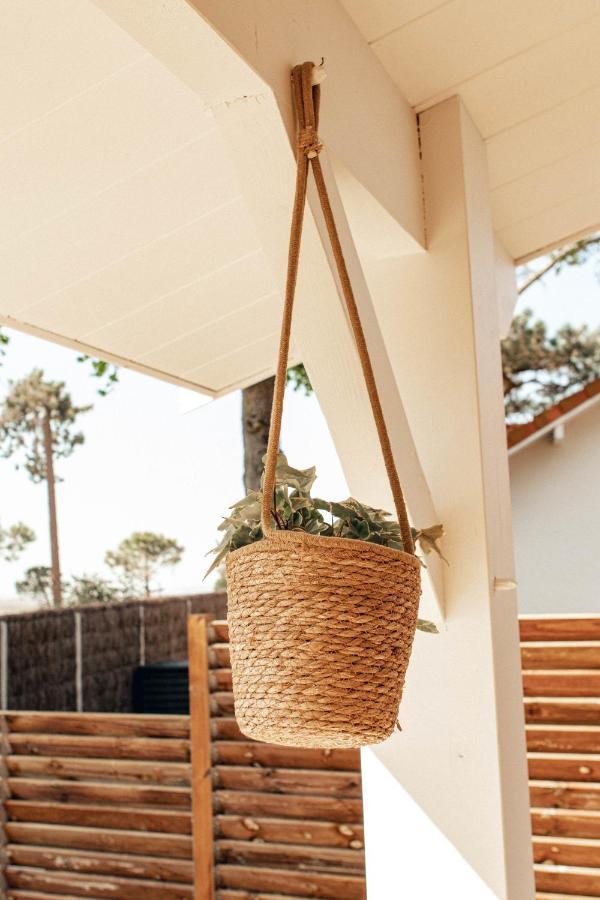 La Cabane De L'Estran Au Bord De Mer 랑통 외부 사진